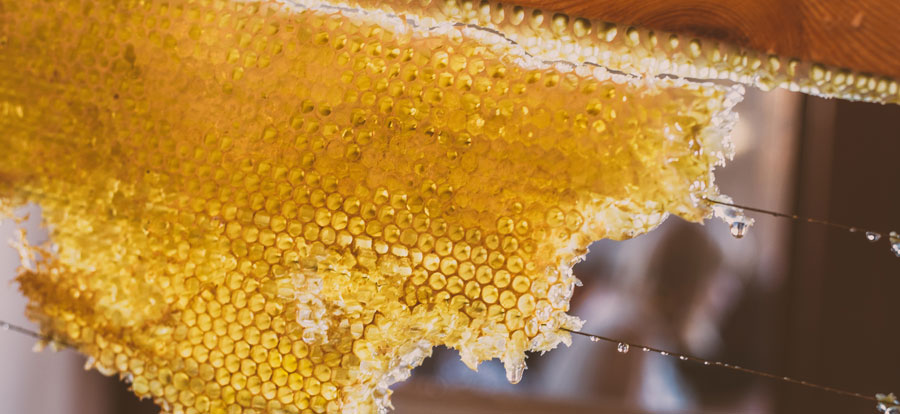 Dead Sea Cosmetic choisit le miel pour fêter la journée de la femme entre le chapeau